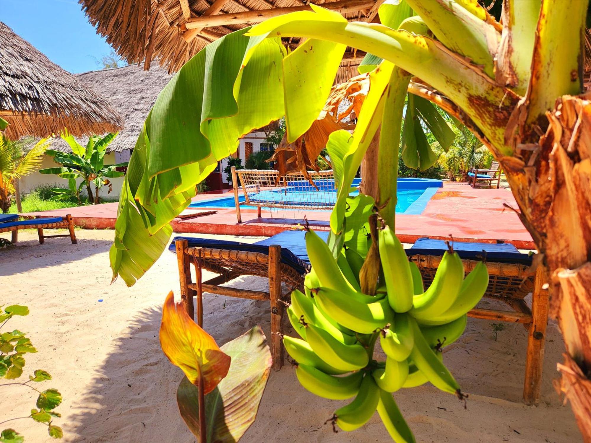 Mkeka Spice Lodge Jambiani Jambiani  Buitenkant foto