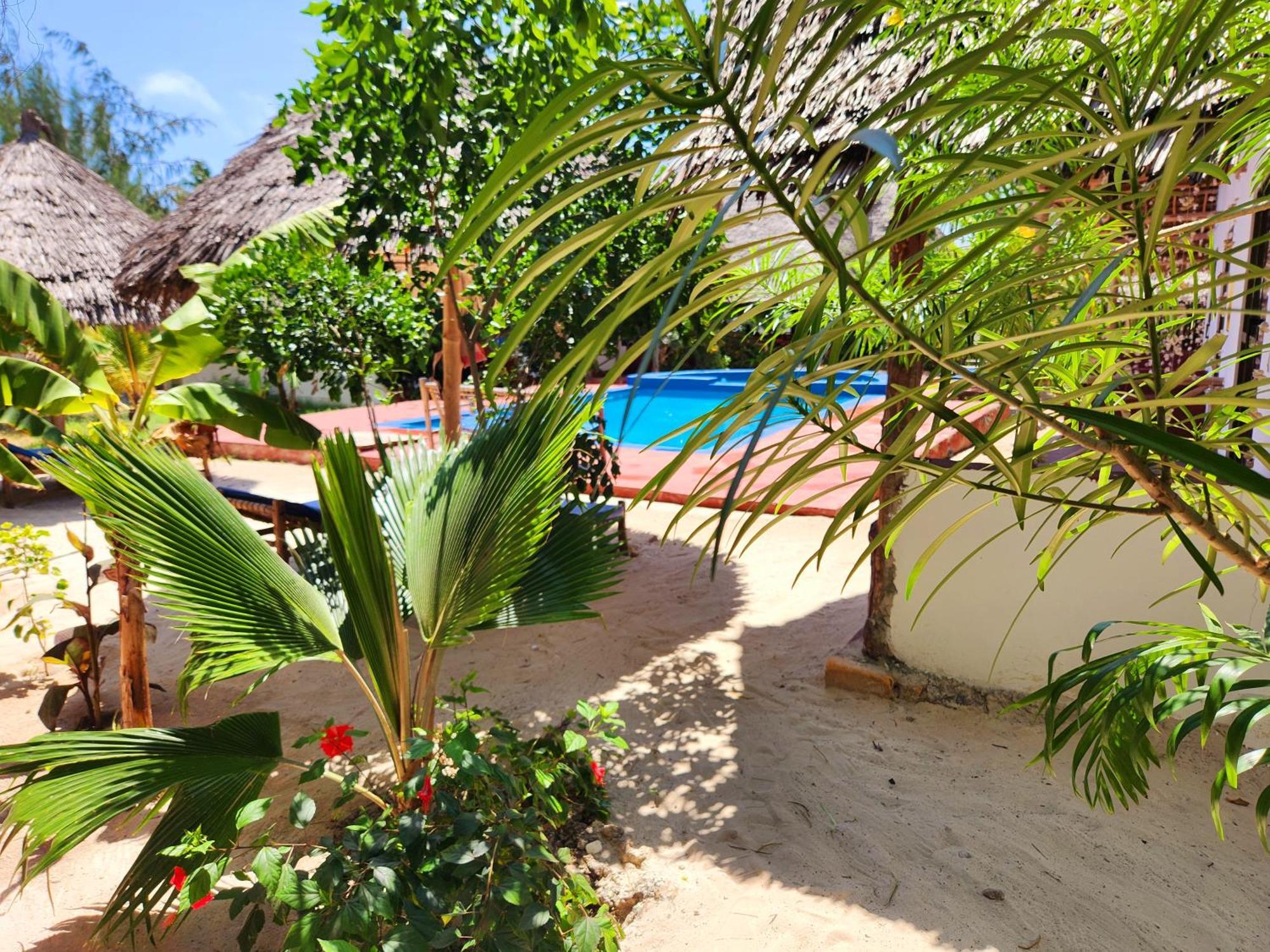 Mkeka Spice Lodge Jambiani Jambiani  Buitenkant foto